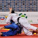 Grand Slam Paris 2013 Judo